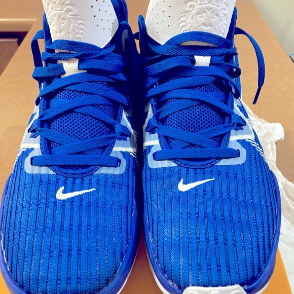 NIKE LEBRON WITNESS VI TB - Picture 1 of 5